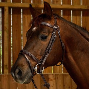 Dyon hoofdstel met sierstiksel gecombineerde neusriem