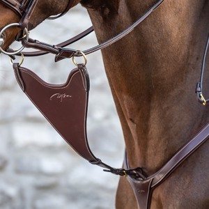 Dyon Bib voor martingaal