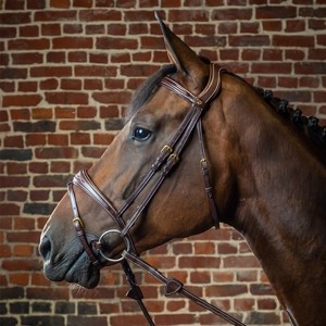 Dyon hoofdstel met anatomische neusriem