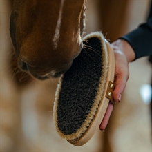 Borstiq Rugborstel met leren riem Large