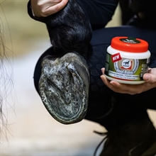 Leovet Hoefbalsem Prebiotic