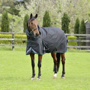 Weatherbeeta overgangsdeken 100 gram Comfitec Plus Dynamic II detach-a-neck medium/lite