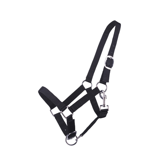 QHP halster jaarling