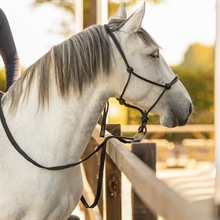 Touw halster leer Liberta