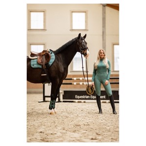 BR CLX Springonderlegger