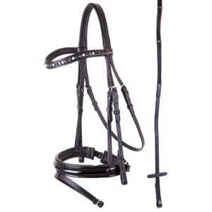 Premiere hoofdstel Grenoble