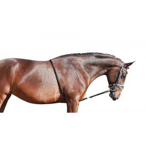 QHP Soft longeerhulp