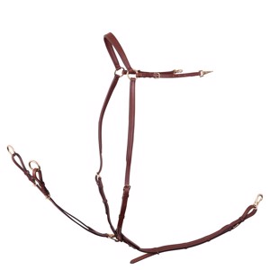 BR Rayleigh borsttuig met martingaal