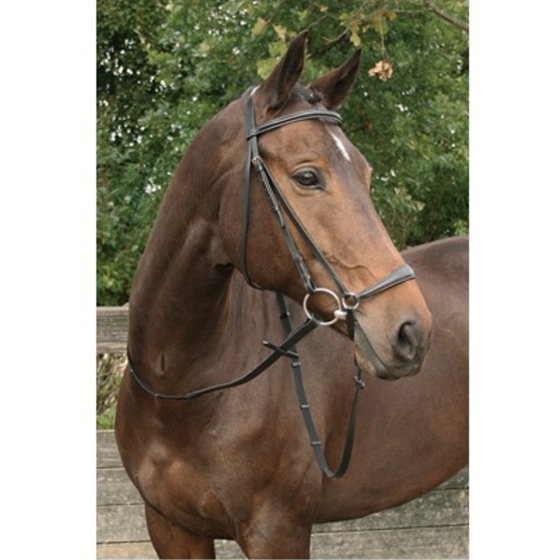 Harry\'s Horse Trens met hanoveraanse neusriem