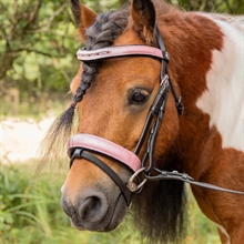 Harry's Horse Mini hoofdstel Diva Mauvewood