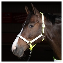 Harry's Horse Reflex halster