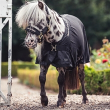 Back on Track Netdeken Deluxe Pony