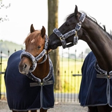 Bucas Show-Line Halster