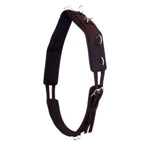 Premiere Trainings- en longeergordel