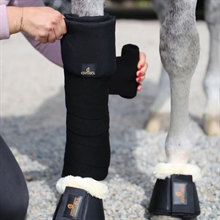 Kentucky wollen bandages