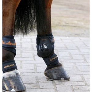 Kentucky kogelbeschermer