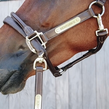 Kentucky hengstentouw met beschermde ketting