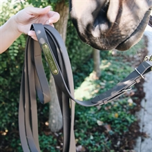 Kentucky hengstenketting