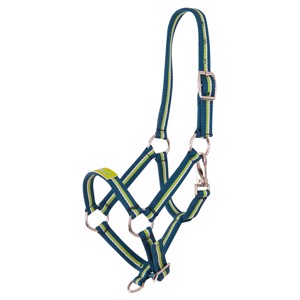 Premiere veulenhalster Fun 