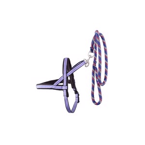 BR Harnas en lijn voor hond