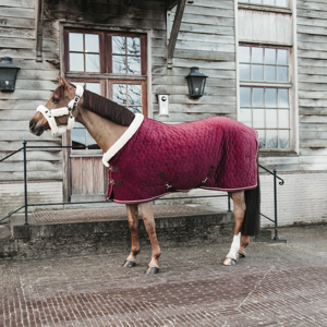 Kentucky Show rug deken Velvet Bordeaux