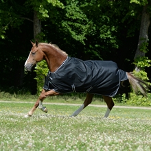 Bucas Trot Turnout 50 gram dravendeken