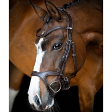 Montar Monarch Jumping hoofdstel bruin