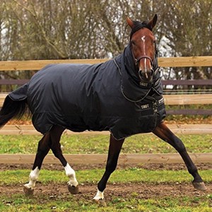 Horseware Trot Plus winterdeken 350 gram