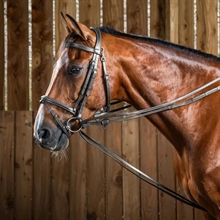 Dyon glijdtouw Hunter Working by Dy'on