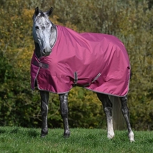 Bucas Freedom regendeken Pony