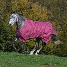 Freedom Overgangsdeken 150 gram pony