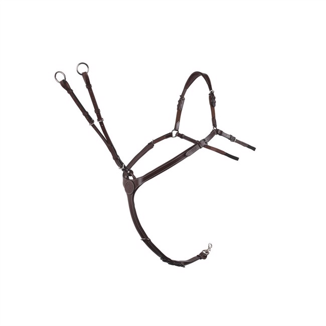 Montar Papillon borsttuig met martingaal