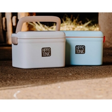 HIPPOTONIC Grooming box Scooby