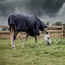Kentucky Turnout Rug All Weather Waterproof Classic 50 gram