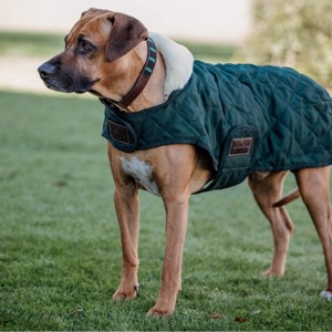 Kentucky hondenjas Dark Green