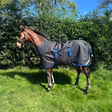 Horseware Amigo veulendeken 900D 200 gram