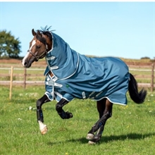 Horseware AmEco Bravo 12 Plus 100 gram overgangsdeken