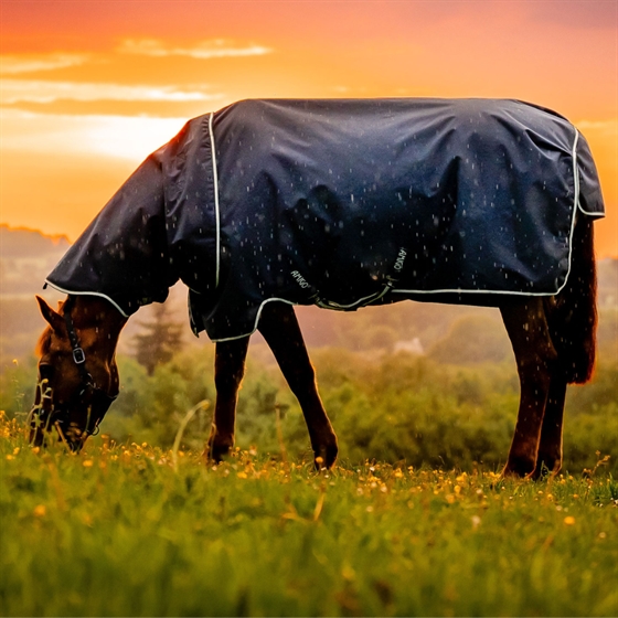 Horseware Amigo Ripstop 900D Plus Pony 100 gram