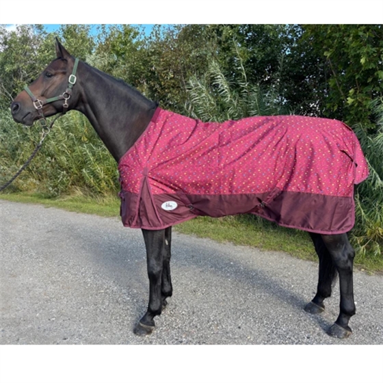 AB Regendeken Colour 50 gram