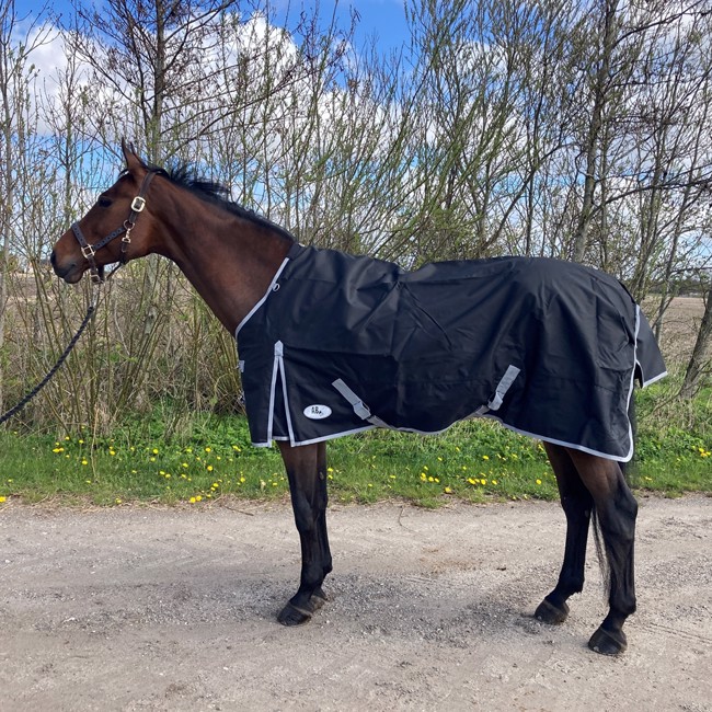 AB Winterdeken Black Normale Hals 300 gram