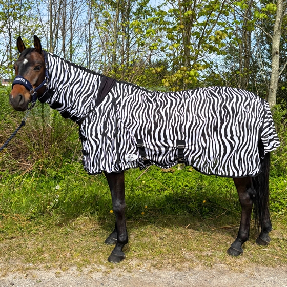 AB insectendeken zebra combo