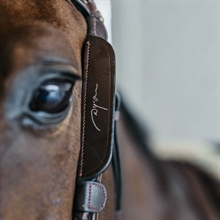 Dyon Blinkers Fancy