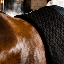 Horseware Thermal Cooler