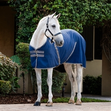 Rambo Stable sheet deken