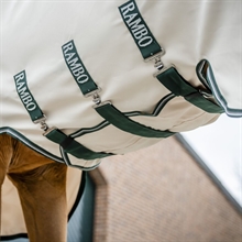 Chalk/Hunter Green&silver