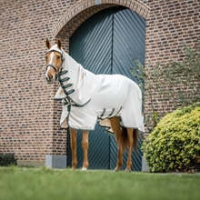 Chalk/Hunter Green&silver