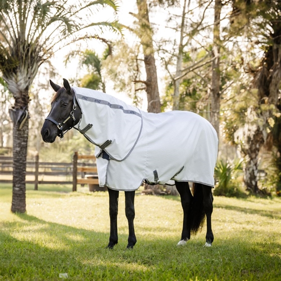 Horseware Amigo Aussie Allrounder Summer Sheet Plus zomerdeken