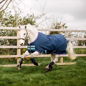 Horseware Amigo Hero 900 pony 0 gram