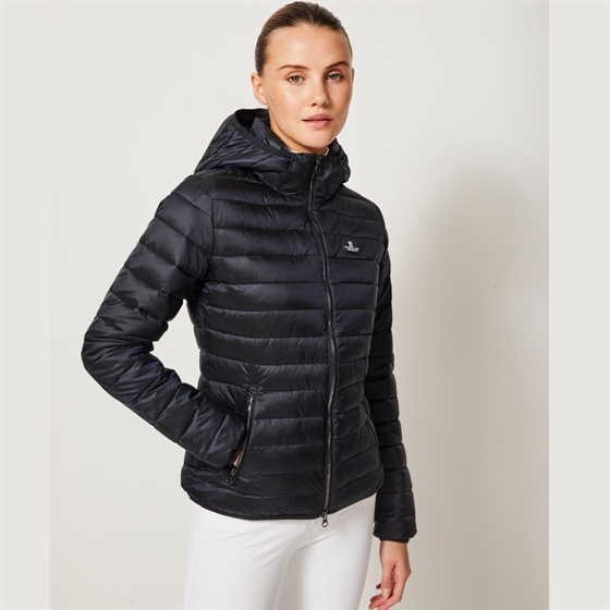 Kingsland Classic dames Padded jas Navy