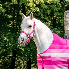 Witney Pink